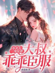 小夫人又美又